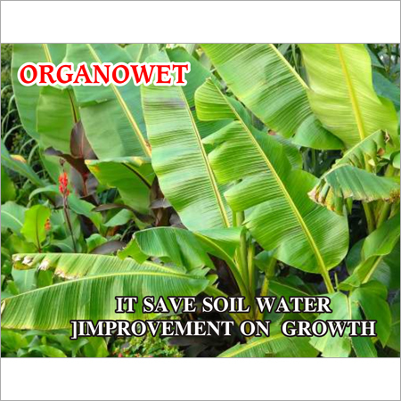 High Nitrogen Organic Fertilizer