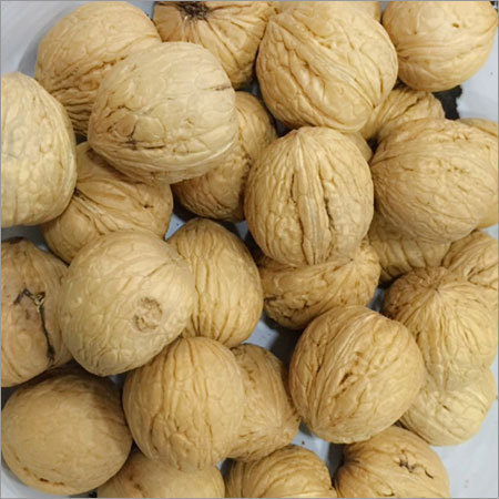 Indian Walnuts