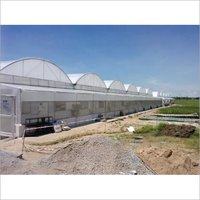 Greenhouse and Polyhouse Contractor