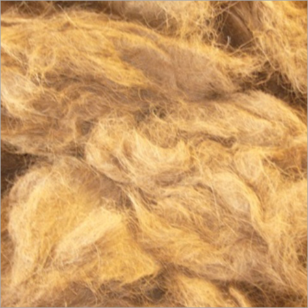 Coir Fiber