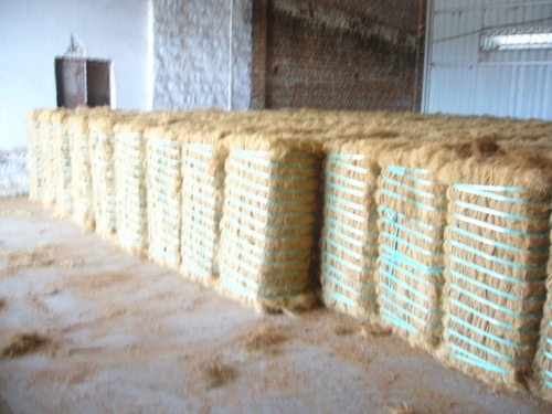 Raw Coir Fiber