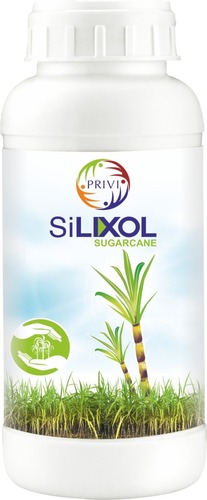 Sugarcane Plant Growth Regulators