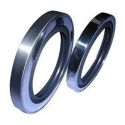 PTFE Seals
