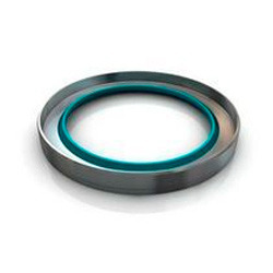 Rotary Shaft Seal