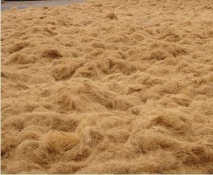 Coconut Fiber