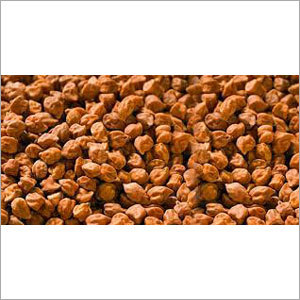Bengal Gram