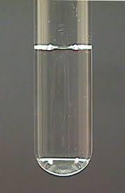 Ammonia Solution