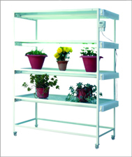 Tissue Culture Rack - Mild Steel, 4-6 Shelves With Fluorescent/UV Lighting | Adjustable Shelves, Rustproof, Easy Mobility, High Capacity