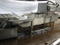 Fruit Vegetable Washer