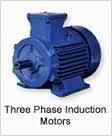 3 Phase Induction Motor