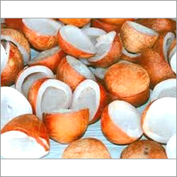 Coconut Copra