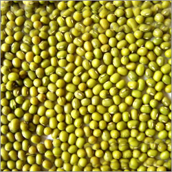Green Gram Dal