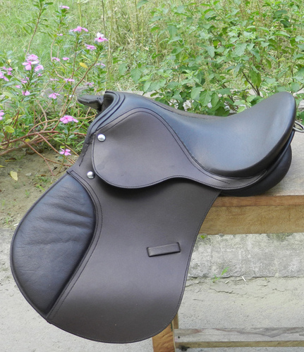 Saddle