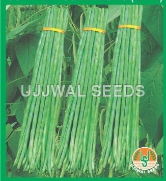 Cowpea - Super Long (LAFA)