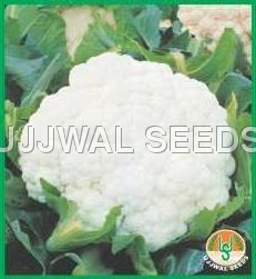 Cauliflower - Katki