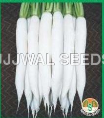 Radish - Hybrid Every White