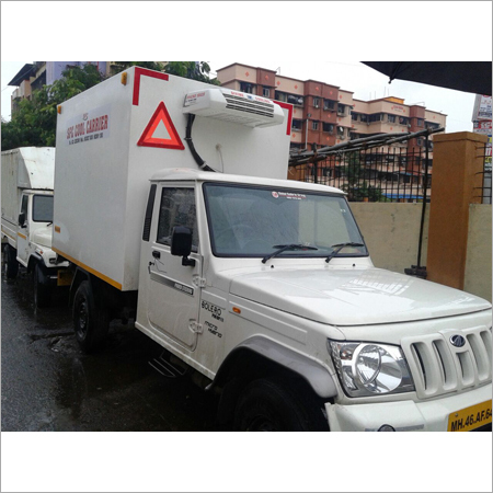 Cold Chain Logistics Services
