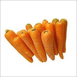 Fresh Carrot