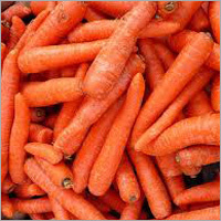 Fresh Preserved Carrot