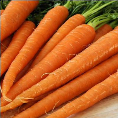 Carrot