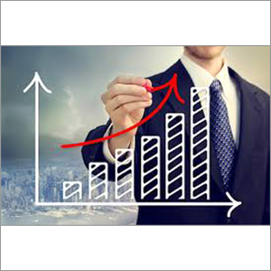 Tax Consultancy