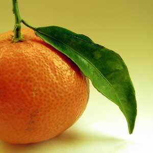 Mandarin Oil