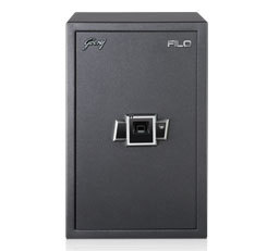 Biometric Safe