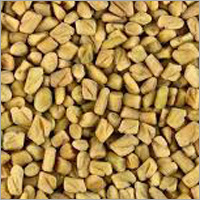 Fenugreek Seeds
