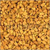 Fresh Fenugreek Seeds