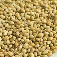 Whole Coriander