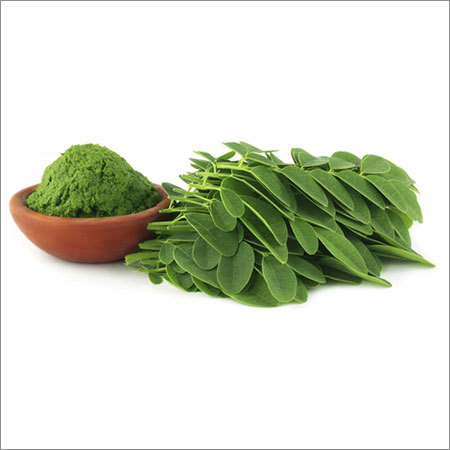 Moringa Leaves