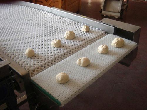 Modular / IQF Belt Conveyor