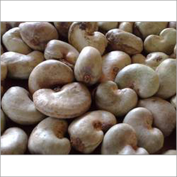 Organic Raw Cashew Nuts In Shell