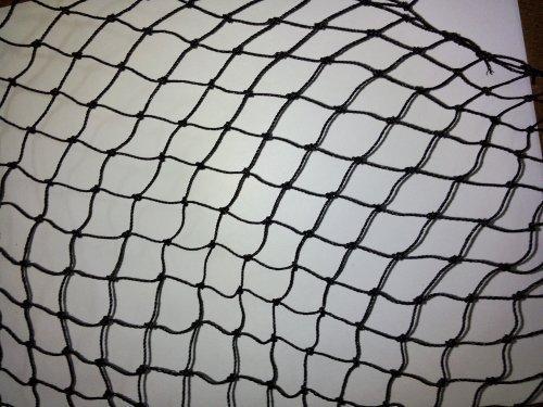 Bird Net