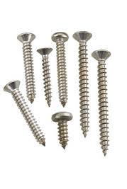 SS Screw