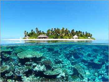 Thailand Tour Packages By SHREE ABSOLUTELY TRAVELS PVT. LTD.