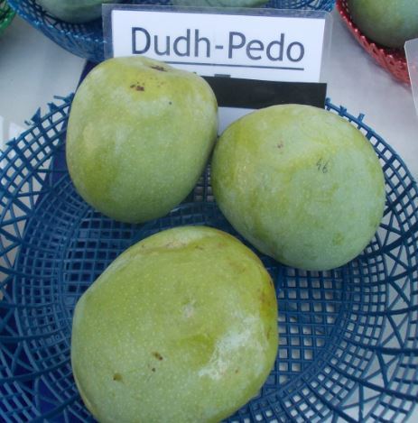 Fresh Mango