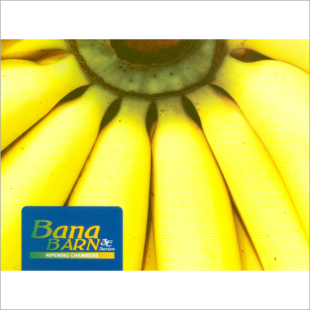 Standard Ripening Chambers from Rinac