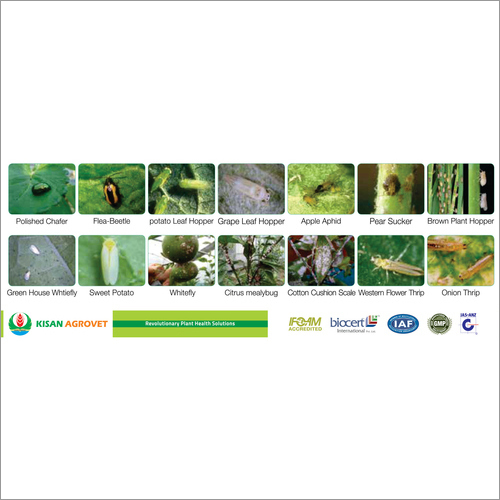 Botanical Pesticides