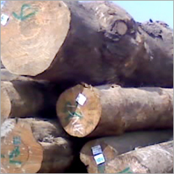 Meranti Wood Logs