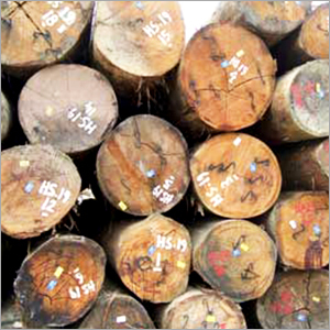 Kapur Wood Logs