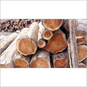 Teak Wood Logs