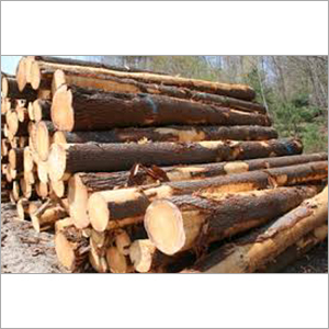 Pine Wood Logs
