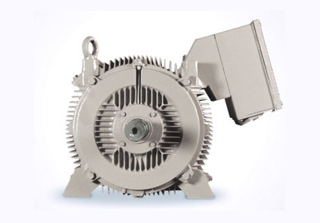 1LA8 -1PQ8, 1PQ0 - INVERTER DUTY MOTORS