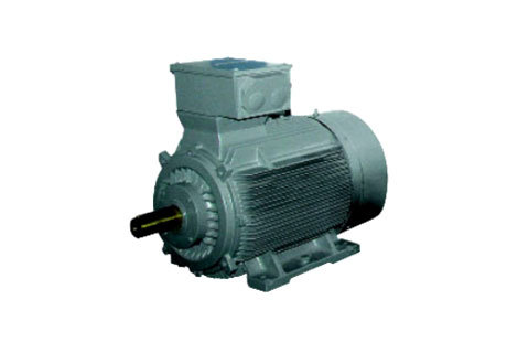 Champion Frame 160-355 - Standard Motors
