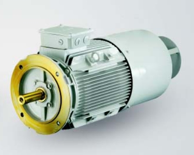 Champion Frame 63-132M - Brake Motors