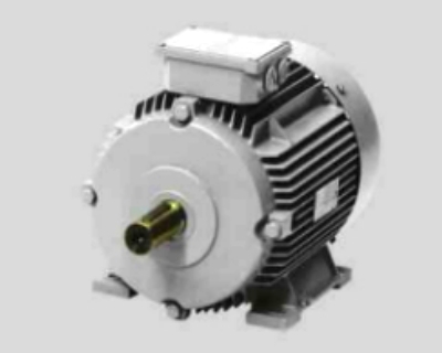 Champion Frame 63-132M - Standard Motors