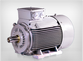 S3/S4 DUTY MOTORS