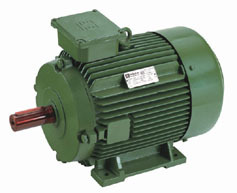 High Efficiency Standard Motors