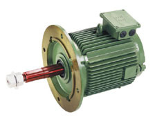 Cooling Tower Motors